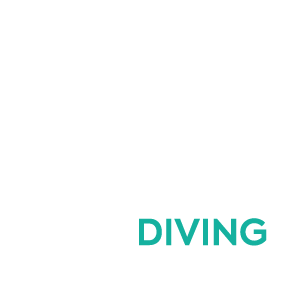 Rock Diving Center